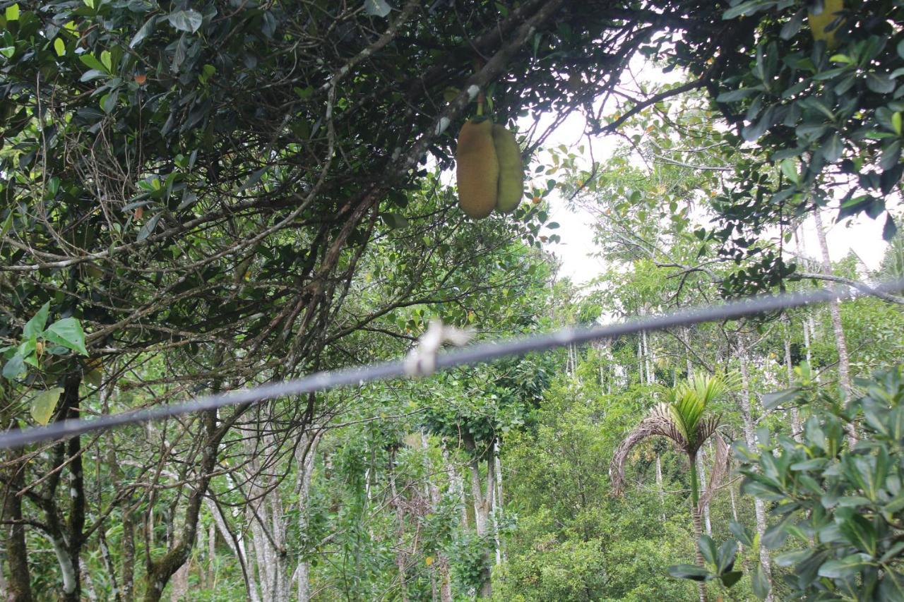 Arabian Nights Munnar Villa Dış mekan fotoğraf